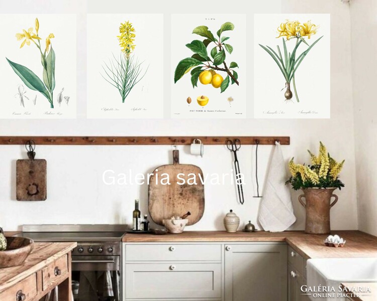 4 Piece reproduction of a beautiful botanical floral print, poster 30*40 cm, with 4 yellow flowers