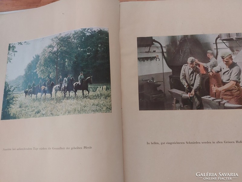 Pferde German riding book ii. Vh
