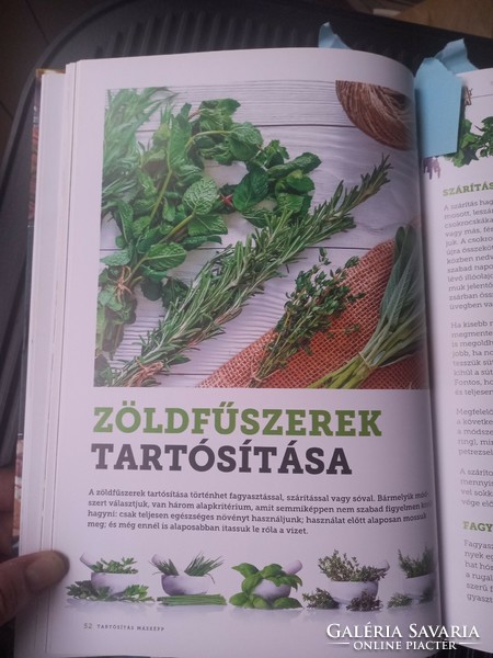 Szakácskönyv "Ízeink" -magyar konyha