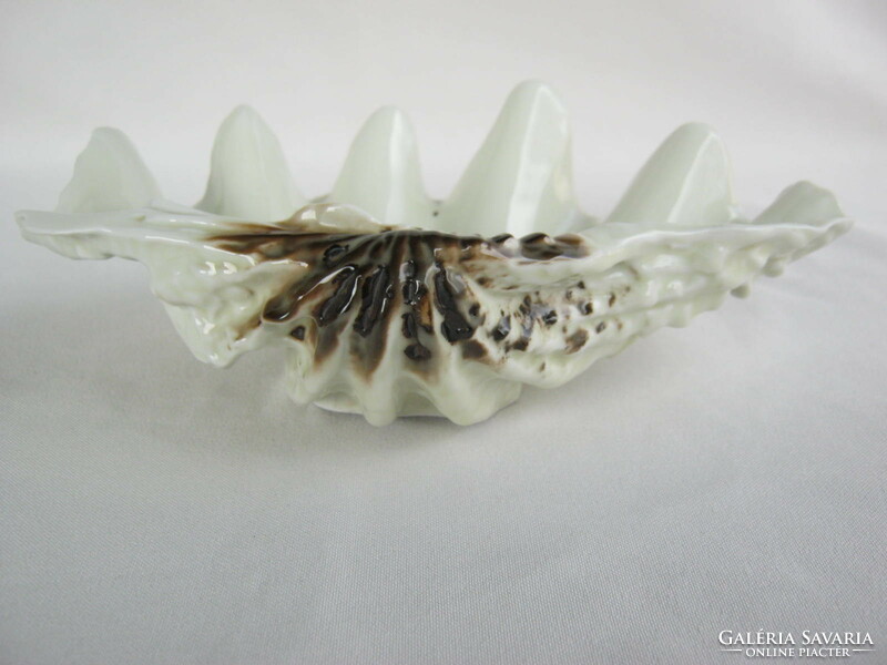 Bowl of raven house porcelain shells