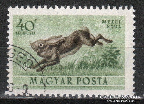 Állatok 0359 Magyar