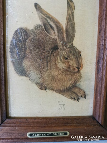 Bunny rabbit decor picture by Albrecht Dürer