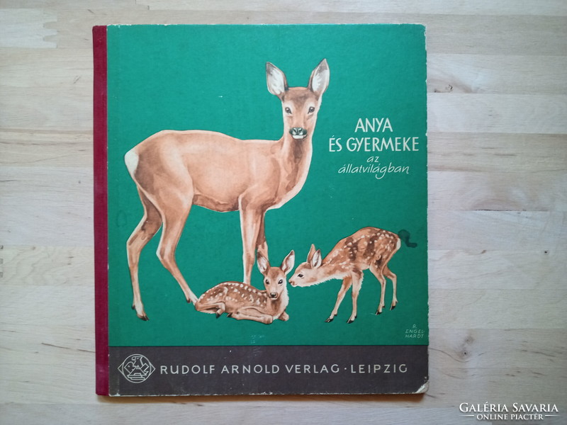 Mother and child in the animal world - retro with beautiful drawings