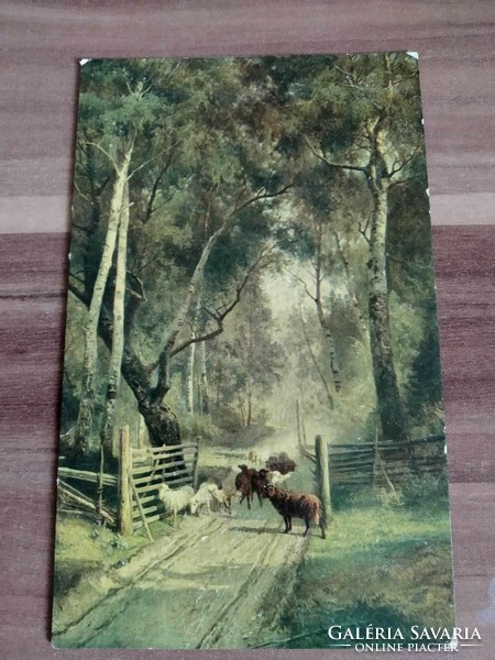 Old postcard, old postcard, like an oil painting, lambs