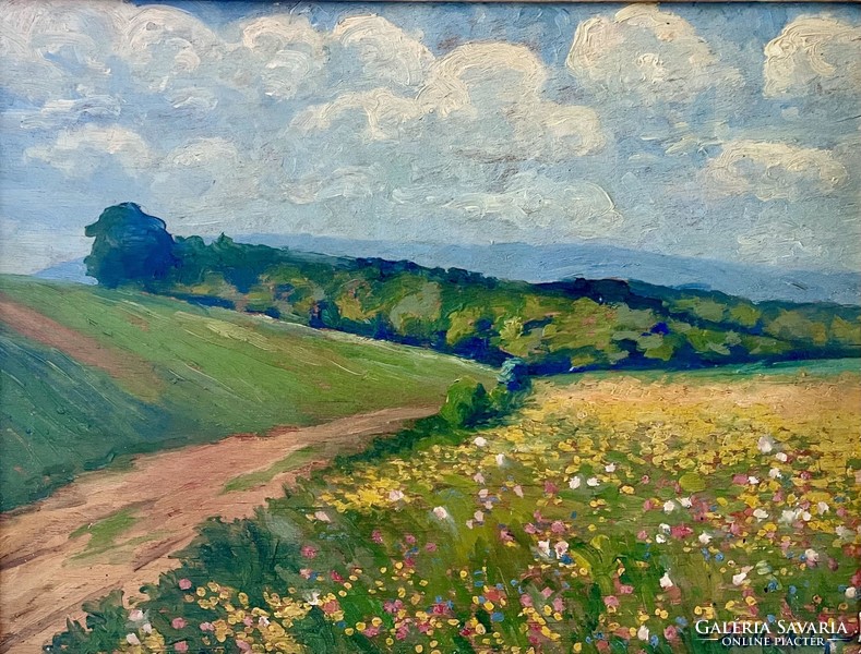 Spring at the hills