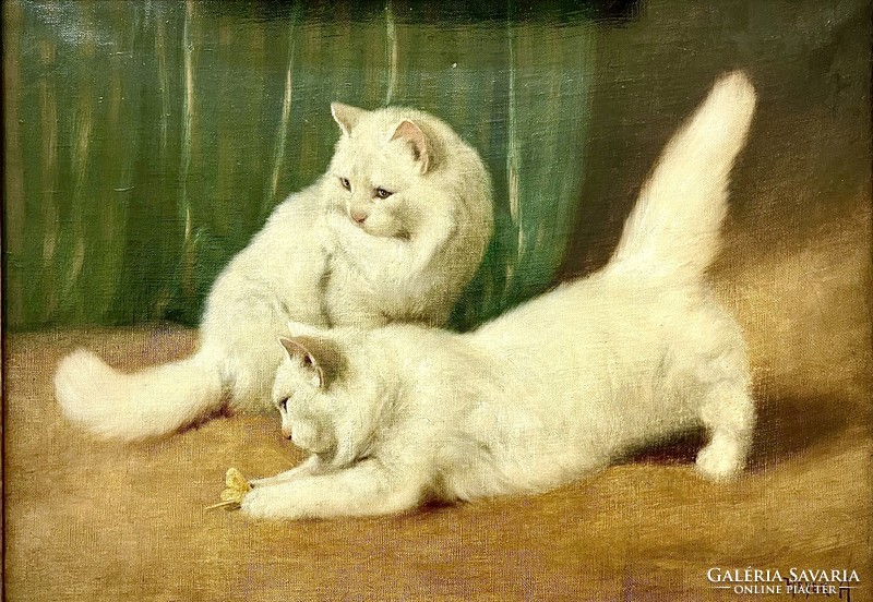 Two persians white cats with Butterfly