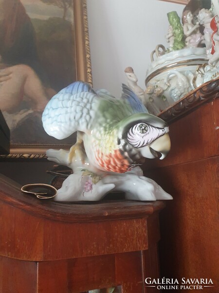 Óriás papagáj porcelán pár