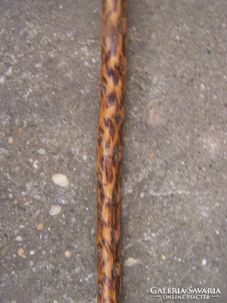 Antique walking stick in good condition. According to the pictures. Its length is 74 cm