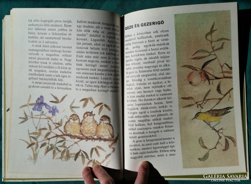 What the nature series tells - schmidt egon: decoy birds > animal world > birds