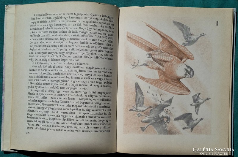 Musa Murataliyev: the story of a hunting falcon > children's and youth literature > animal story