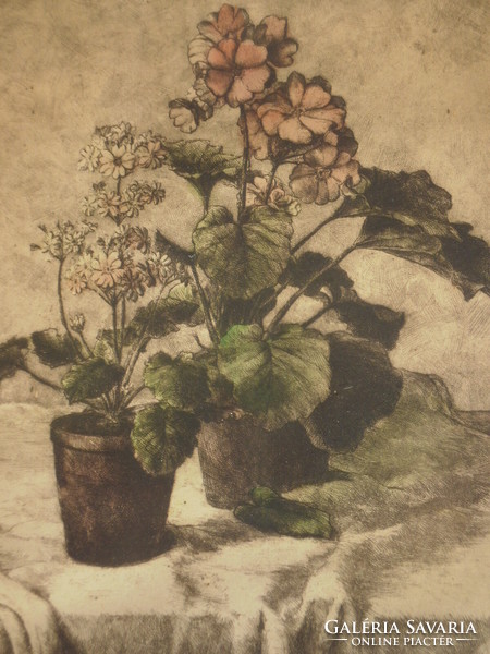 Jenő Kovács (1884-): flowers