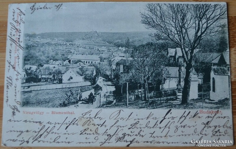 1899.- Budakesz - postcard - flower valley - Budakesz