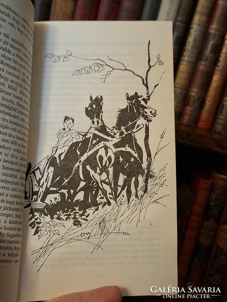 Hunting! 1980- Nándor Pálfalvi: on the dawn trails-sport hunters book-collectors-unread-cover