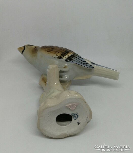 Royal dux porcelain bird!