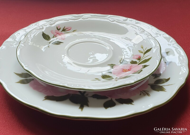 Winterling kirchenlamitz bavaria german porcelain breakfast plate pair saucer small plate hibiscus
