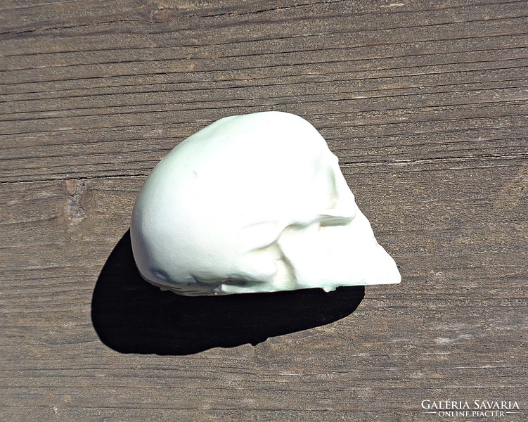 Porcelain skull