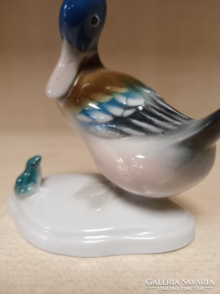 Metzler&Ortloff porcelán kacsa békával