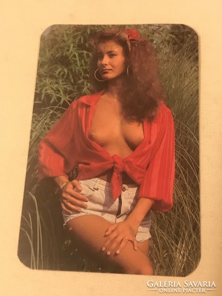 Card calendar 1990. Vasiker Szombathely