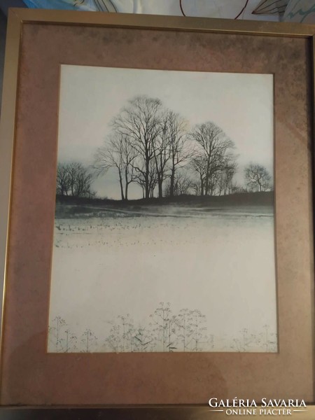 German atmospheric etching in a glass frame 50 x 60 cm