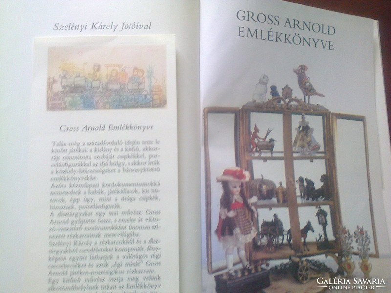 Gross Arnold : Soproni házak, 1961- ből,+ ajándék :Gross A.emlékkönyv