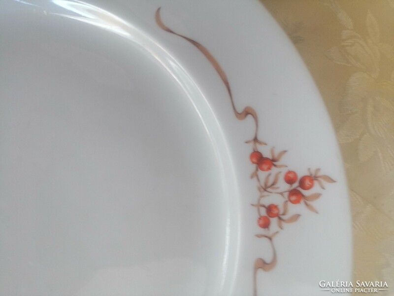Flat plate with rose hips