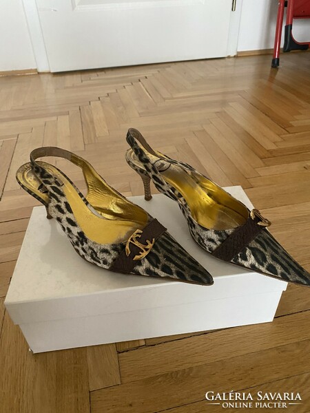 Cavalli shoes with small elegant heels