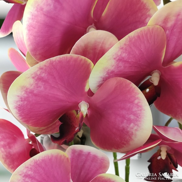 Two-strand life-like pink and cream orchid in pot or208pkkr