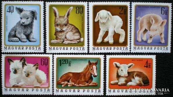 S3002-8 / 1974 pet puppies stamp series postal clear