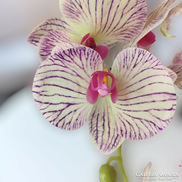 Kétszálas élethű lila és krémszínű cirmos orchidea kaspóban OR202KRLI