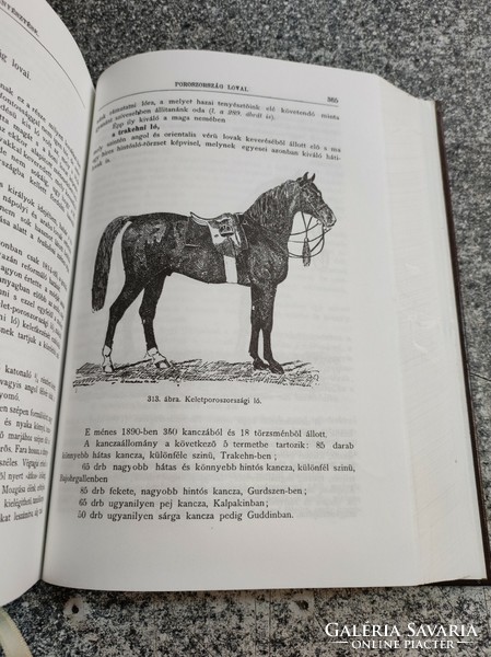 The horse and its breeding (reprint) béla kovács monostori károly győr, 1998