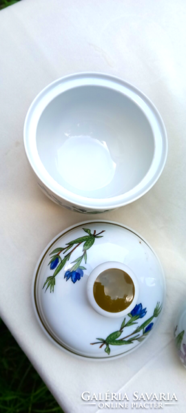 Bavaria winterling 3-piece tea-coffee herb porcelain set, jug, pouring pot and sugar bowl