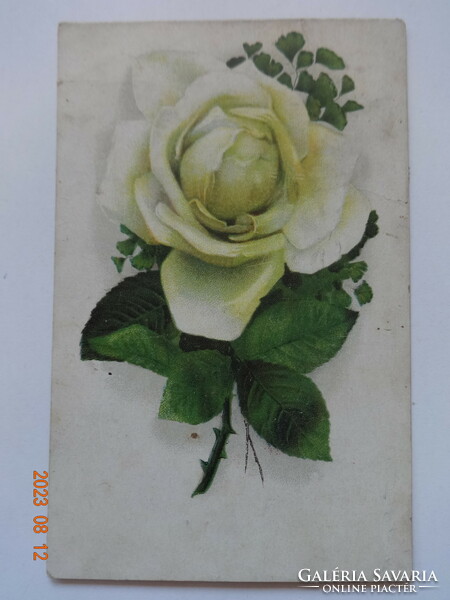 Régi grafikus virágos üdvözlő képeslap, sárga rózsa
