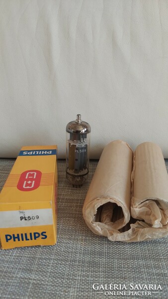 Philips pl509 tube from collection (59)