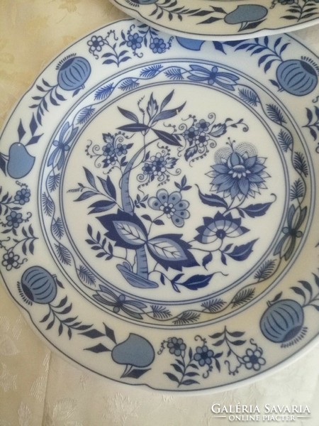 Colditz onion plate is beautiful in pairs
