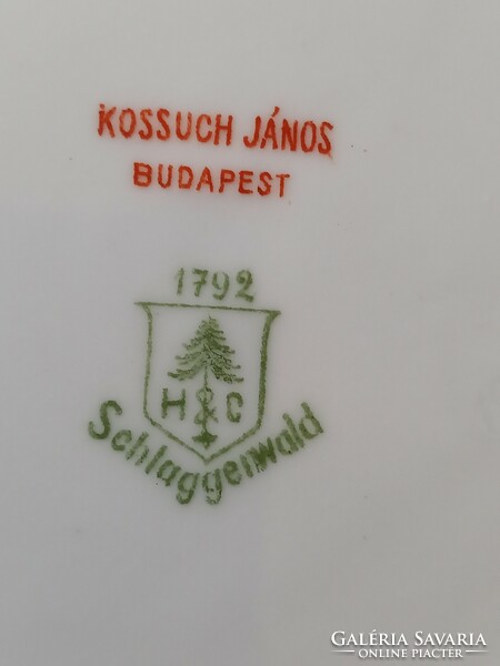 Haas&czjzek schlaggenwald tableware free postage!!!!