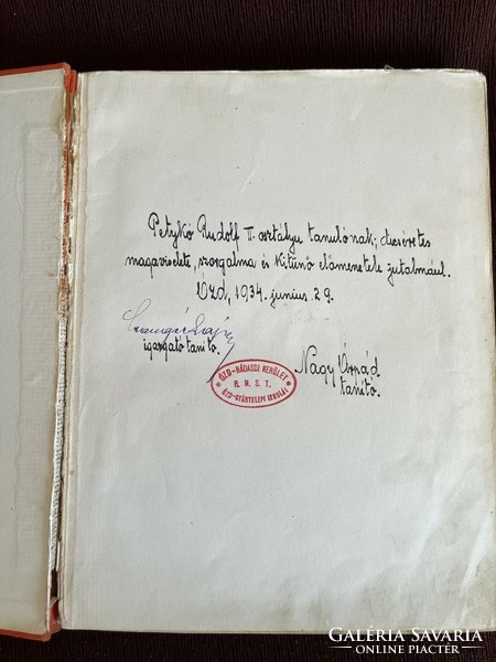 Móra Ferenc Dióbél királyfi és társai könyv