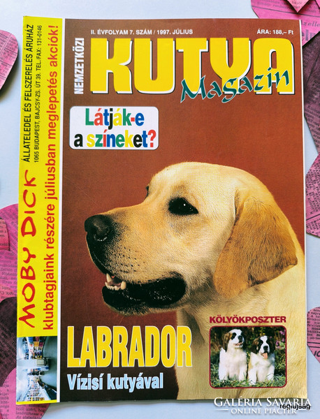 1997 July / dog magazine / newspaper - Hungarian / no.: 27585