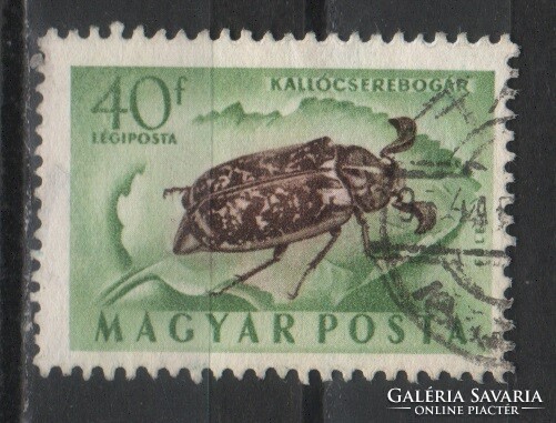 Sealed Hungarian 1877 mpik 1415 xiii a cat price 30 ft