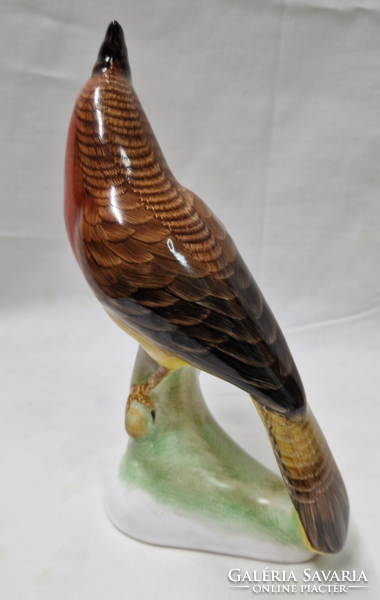 Bodrogkeresztúr large hand-painted ceramic parrot in perfect condition 20 cm.