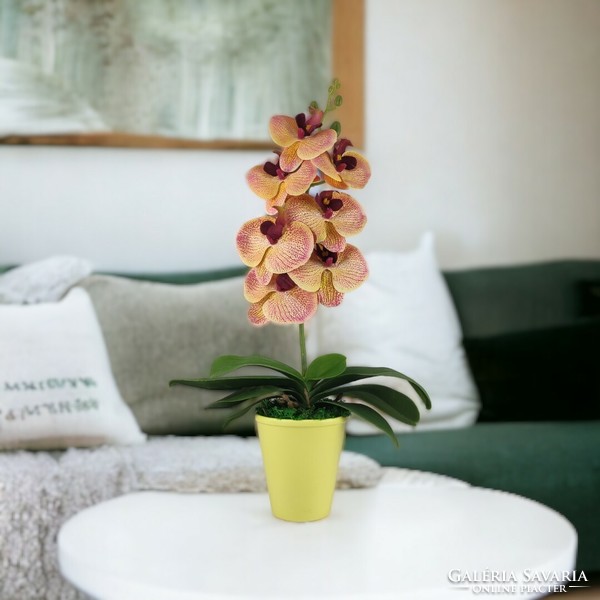 Medium-sized lifelike peach- and cream-colored tabby orchid or113ba
