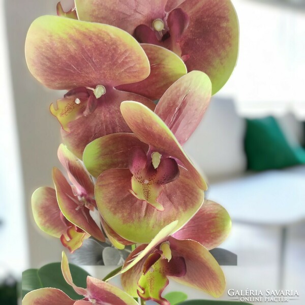 Nagyméretű élethű zöldes mályva orchidea kaspóban OR114ZOMA