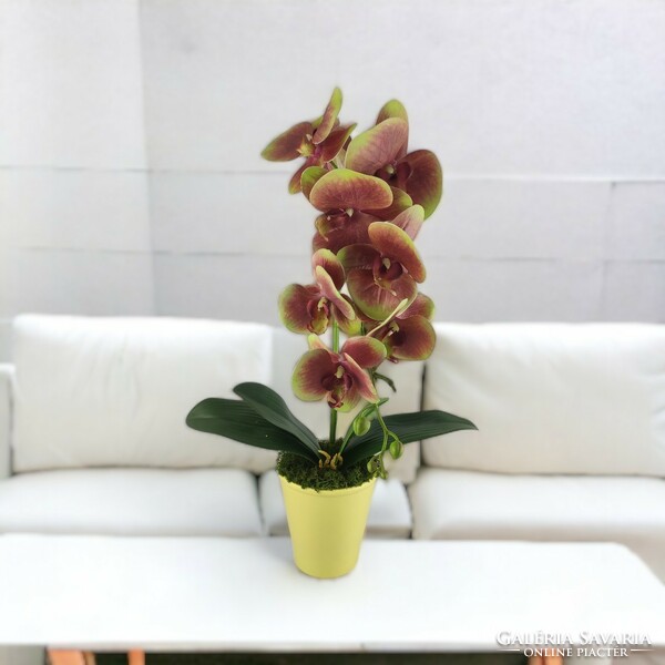 Nagyméretű élethű zöldes mályva orchidea kaspóban OR114ZOMA