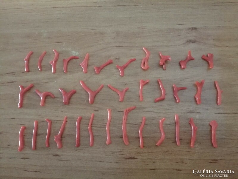 34 2-3 cm real natural red coral branches