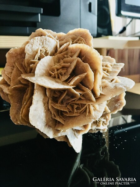 12 cm sivatagi rózsa ásvány