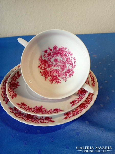 Royal Tettau madaras porcelán levescsésze tányérrokkal (3)
