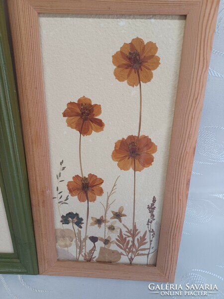 Juried picture, made of pressed flowers