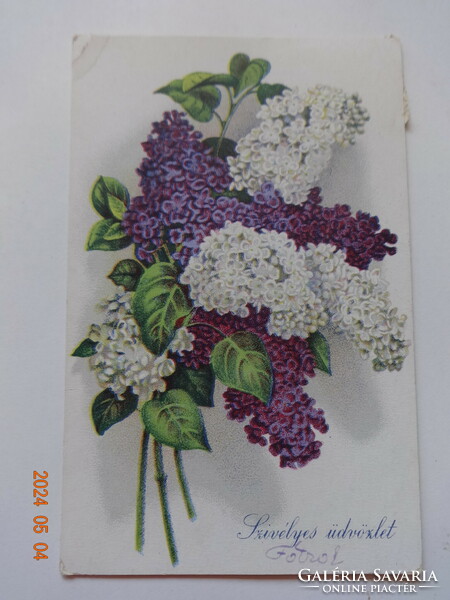 Old graphic floral greeting card: lilac bouquet