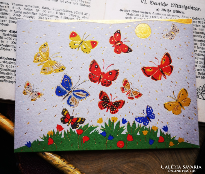 Turnowsky's art postcard butterfly / butterfly