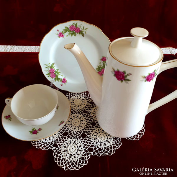Burgundy rose fine porcelain tea set with cake plates
