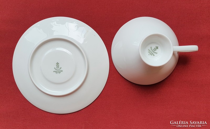 Winterling marktleuthen Bavarian German porcelain coffee tea set cup saucer with flower pattern